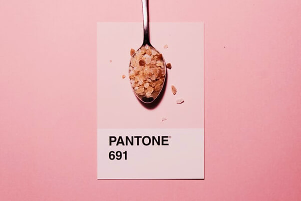 12th STD Blogging Website